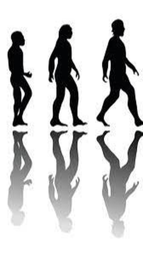 Meneruskan Teori Darwin, Ilmuwan Soroti Bagaimana Pertama Kali Manusia Bisa Berjalan Tegak?<br>