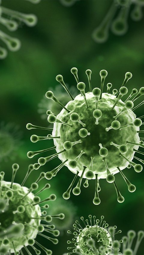 <b>Cara Mencegah Penularan Virus Nipah, Kenali Gejalanya</b>