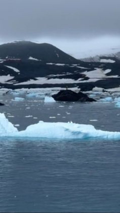Melaut ke Antartika, WNI Ungkap Ada Apa di Balik Tembok Es Raksasa<br>