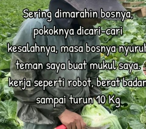 Viral Pria Ini Bagikan Perjuangan Kerja di Jepang, Tinggal di Pedalaman Dekat Makam