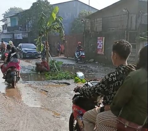 Dekat Rumah SBY, Warga Cikeas Demo Jalan Rusak Parah hingga Tanami Pohon Pisang di Tengah Jalan