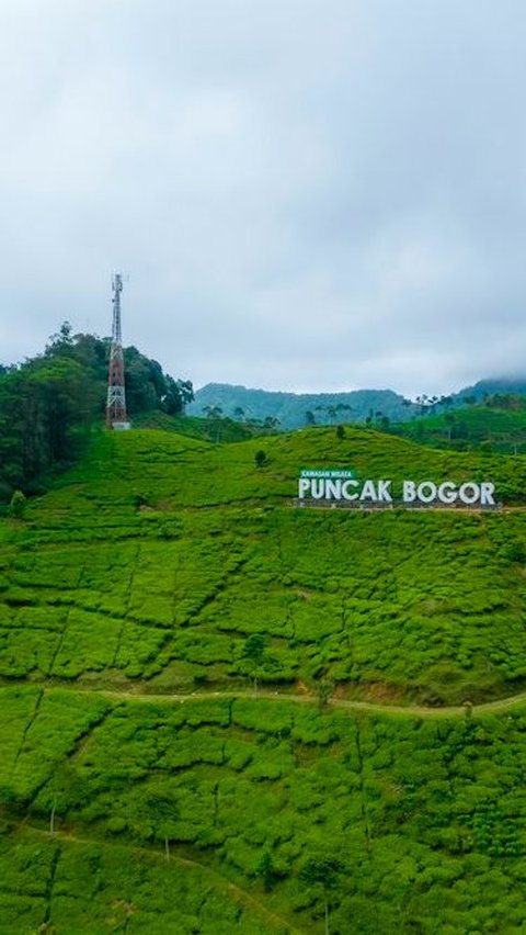 <b>20 Wisata Puncak Bogor yang Populer dan Menarik, Jangan Sampai Terlewat</b><br>