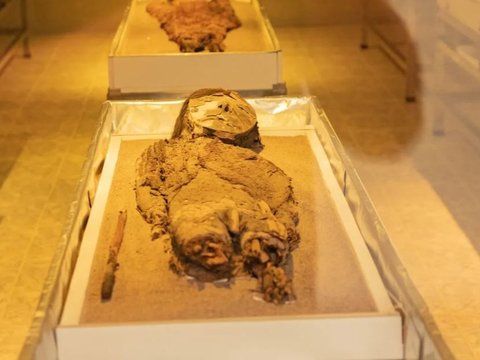 Ratusan Mumi Ini Dikubur di Tengah Gurun, Lebih Tua dari Mumi Mesir Kuno