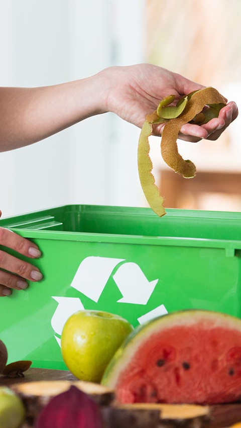 <b>6 Tips Mengurangi Sampah Rumah Tangga, Buat Lingkungan Bersih dan Nyaman</b><br>