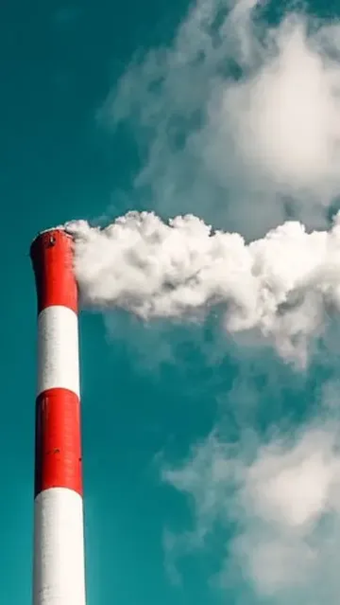 Jokowi Teken Aturan Penyimpanan Karbon, Ini Fungsinya
