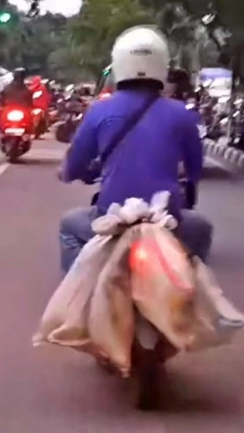 Polisi Usut Pemotor Bawa Anjing Dalam Karung di Jakarta Utara