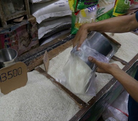 Survei BI: Harga Beras Paling Tinggi di Kalteng, Hampir Rp19.000 per Kg