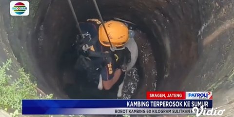 Berlangsung Dramatis, Aksi Heroik Petugas Damkar Selamatkan Kambing Bunting yang Terperosok ke Sumur Ini Curi Perhatian