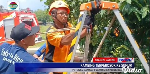 Berlangsung Dramatis, Aksi Heroik Petugas Damkar Selamatkan Kambing Bunting yang Terperosok ke Sumur Ini Curi Perhatian