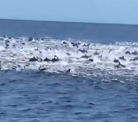 Mengunjungi Pantai Pancer, Pernah Dihantam Tsunami Kini Jadi Penghasil Ikan Terbesar di Banyuwangi