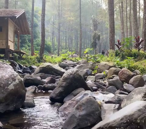 Kayu dan Bambu Bersertifikat FSC Jadi Solusi Masalah Iklim dan Keberlanjutan Hutan dari Dunia Arsitektur