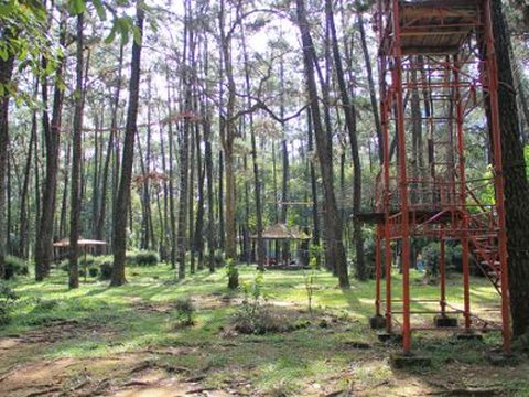 Mengunjungi Punti Kayu Palembang, Destinasi Wisata Hutan Kota dengan Pohon Pinus yang Rindang