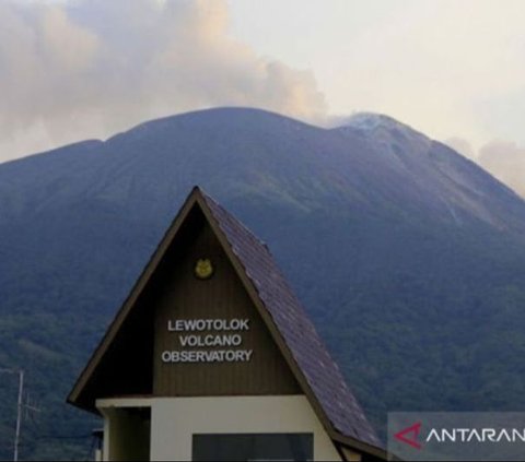 Gunung Ile Lewotolok di Lembata Erupsi Lagi, Muntahkan Abu Vulkanik Setinggi 500 Meter