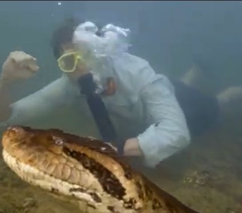 Portrait of a Relaxed Professor Meeting the Largest Anaconda in the World While Swimming at the Bottom of the Amazon, Weighing 200 Kg and Its Body the Size of a Car Tire