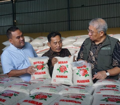 Dirut Bulog Tinjau Kondisi Panen Padi di Kawasan Blora