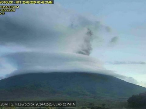 Seismograf Rekam Abu Vulkanik Setinggi 1 Km Keluar dari Gunung Ili Lewotolok