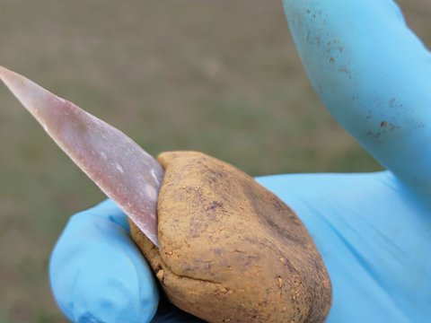 Arkeolog Kaget, Manusia Purba Ini Sudah Memakai Lem untuk Bikin Perkakas Batu