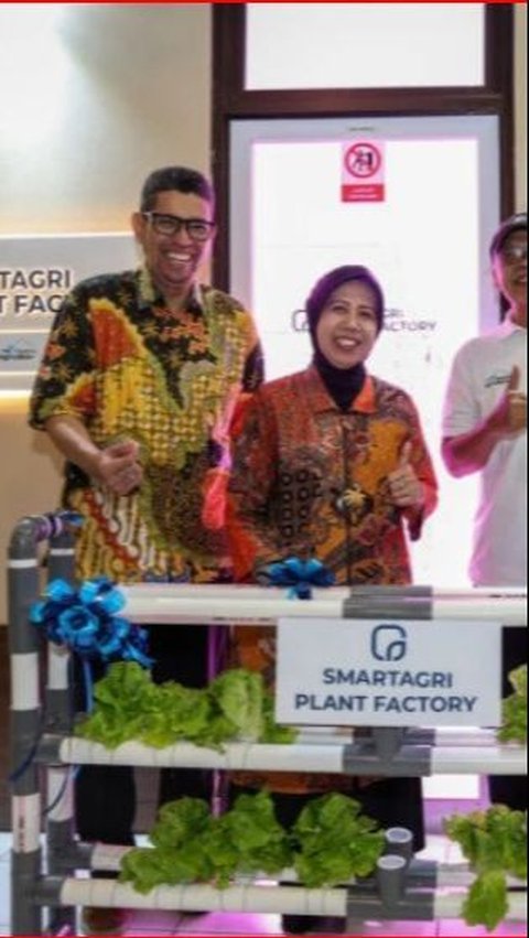 Dukung Pertanian Modern Berkelanjutan, UGM Luncurkan Teknologi Smart Agri Plant Factory