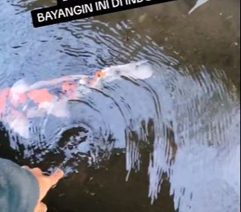 Bikin Orang Indonesia Iri, Penampakan Selokan di Jepang Bersihnya Luar Biasa Isinya Ikan Mahal