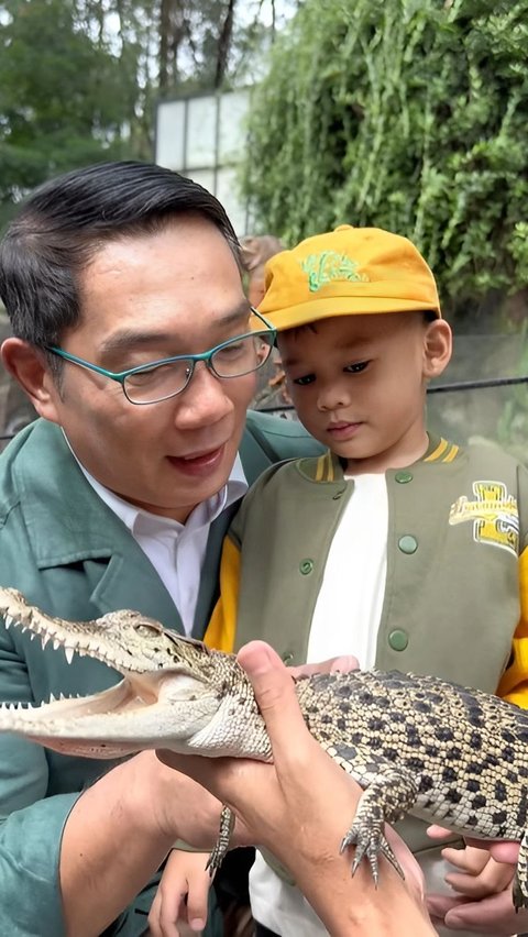 How Ridwan Kamil Introduces a Crocodile to His Little Son