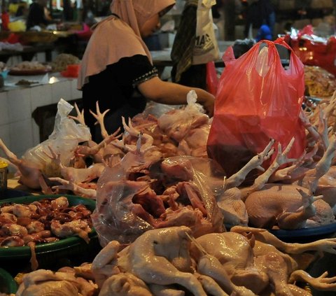 FOTO: Jelang Ramadan, Harga Daging Ayam Potong Melonjak hingga Rp45.000 per Kg