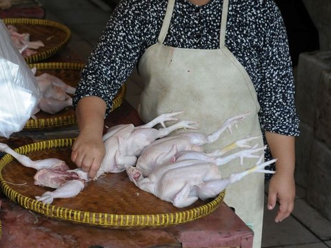 FOTO: Jelang Ramadan, Harga Daging Ayam Potong Melonjak hingga Rp45.000 per Kg