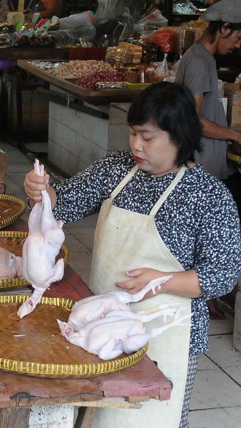 Pedagang menyiapkan ayam ras yang akan dijual di Pasar Klender, Jakarta, Senin (26/2/2024). Foto: merdeka.com / Imam Buhori