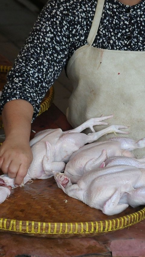 FOTO: Jelang Ramadan, Harga Daging Ayam Potong Melonjak hingga Rp45.000 per Kg