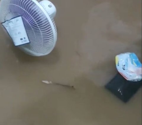 Momen Wanita Histeris saat Kondisi Banjir, Panik Lihat Laptop dan Ijazahnya Terendam