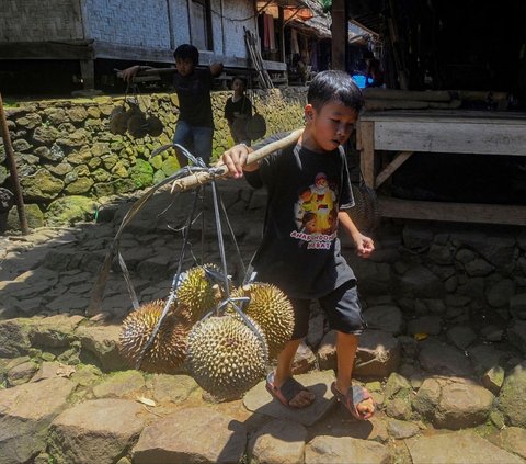 Durian Bikin Kolesterol Tinggi Mitos atau Fakta? Begini Penjelasan Ahli Gizi