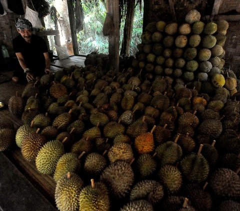 Durian Bikin Kolesterol Tinggi Mitos atau Fakta? Begini Penjelasan Ahli Gizi