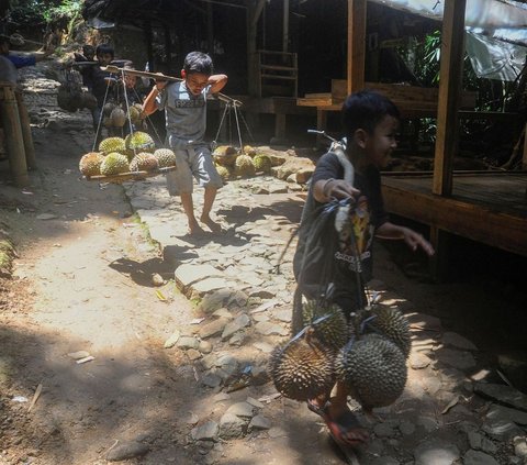 Durian Bikin Kolesterol Tinggi Mitos atau Fakta? Begini Penjelasan Ahli Gizi