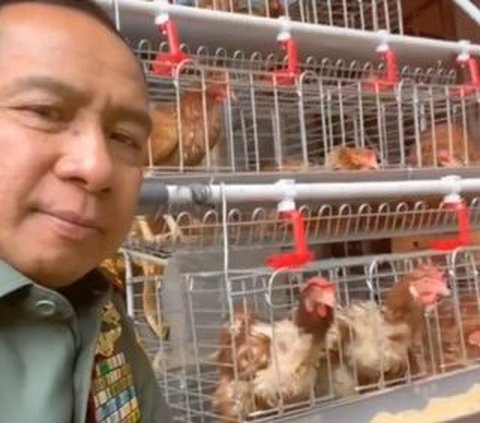 Panglima TNI Bicara Hidup Sehat dan Hemat di Samping Kandang Ayam Sambil Perlihatkan Telur