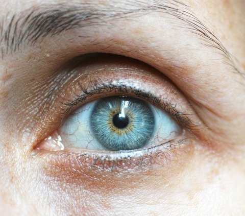 Peneliti Perkirakan Bahwa Warna Mata Mempengaruhi Kemampuan Membaca