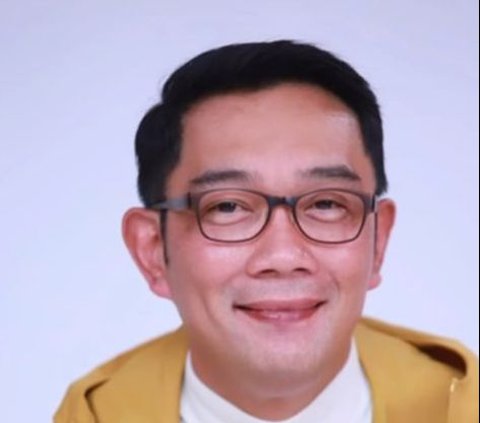 NasDem Dorong 'Crazy Rich Priok' Maju Pilkada DKI Tarung Bareng Kang Emil