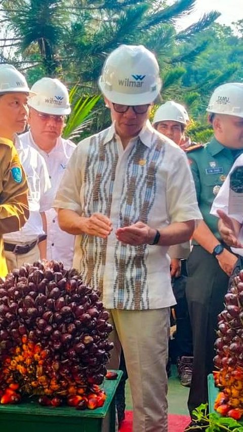 Produksi Kelapa Sawit Indonesia Diprediksi Turun di 2024, Ini Faktor Penyebabnya