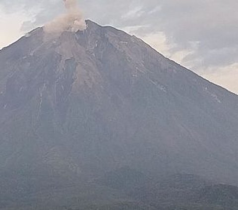 Gunung Semeru Meletus, Muntahkan Abu Setinggi 900 Meter