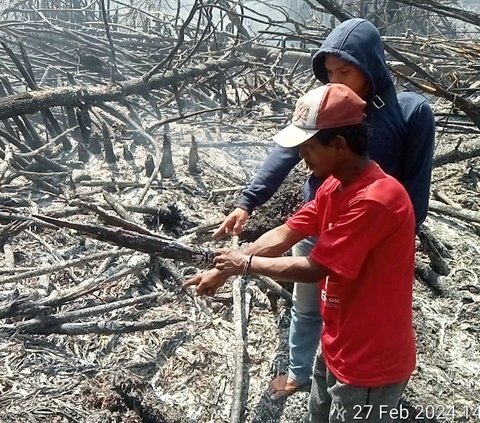 Petani Ditangkap Usai Bakar Satu Hektare Lahan Kebun Sawit di Riau