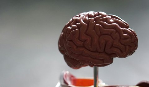 Dampak Jangka Panjang dari Konsumsi Garam Berlebih pada Kesehatan Otak