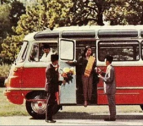 Saat itu, bus ini perlahan-lahan ditambah armadanya sebelum akhirnya dijadikan transportasi umum utama, setelah trem dimatikan dengan alasan merusak wajah Jakarta.