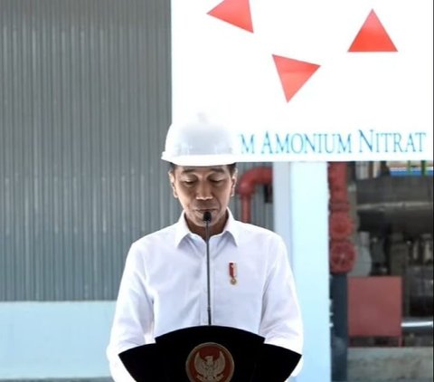 Jokowi Sebut Pabrik Amonium Nitrat di Kalimantan Bisa Kurangi 8% Bahan Baku Pupuk