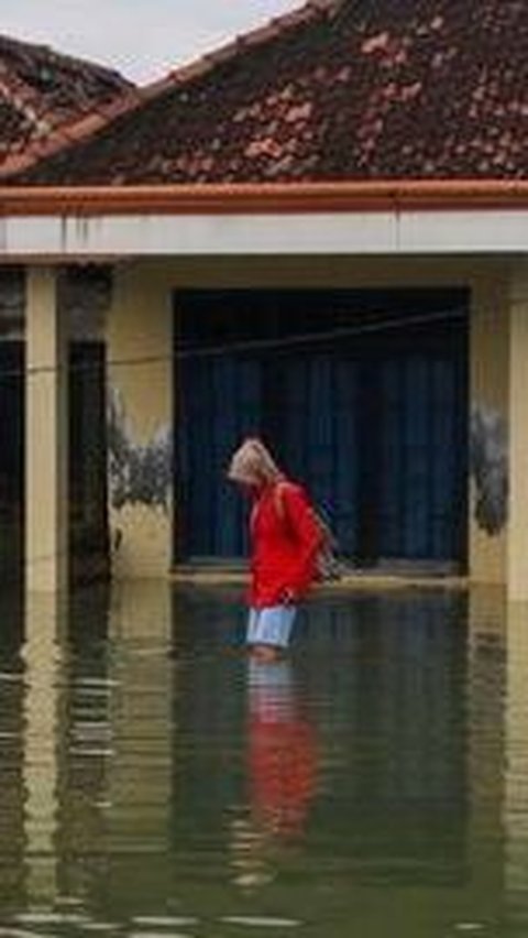 Belajar dari Belanda, Pemerintah Bakal Terapkan Konsep Ini Untuk Atasi Banjir Rob di Kawasan Pesisir