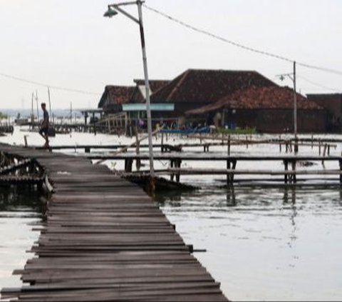 Belajar dari Belanda, Pemerintah Bakal Terapkan Konsep Ini Untuk Atasi Banjir Rob di Kawasan Pesisir