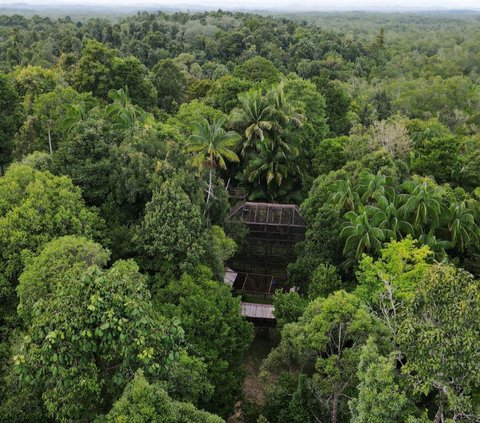 Prabowo Promises Indonesia Can Achieve Self-Sufficiency in Gasoline, Using Materials such as Palm Oil, Cassava, and Sugar Cane