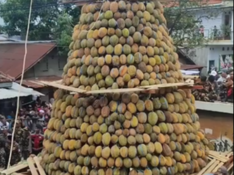 Viral Gunungan Durian Raksasa di Pasuruan, Begini Penampakannya