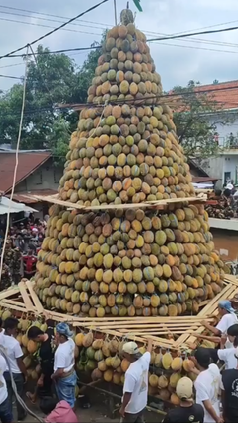 Viral Gunungan Durian Raksasa di Pasuruan, Begini Penampakannya