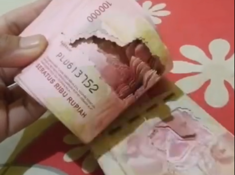 Man's Moment of Finding His Savings Eaten by Termites, Very Sad!