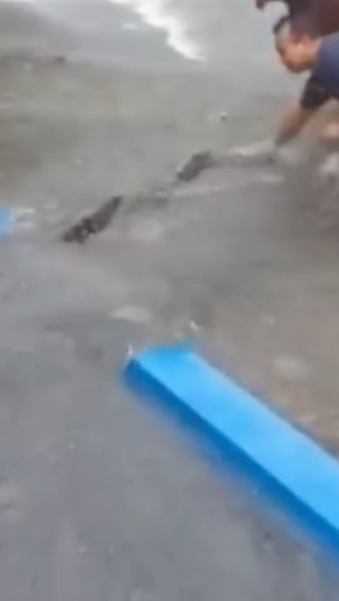 Viral Video Firefighters Evacuating Snakes During Flood, Netizens are Focused on the Sound of Mothers