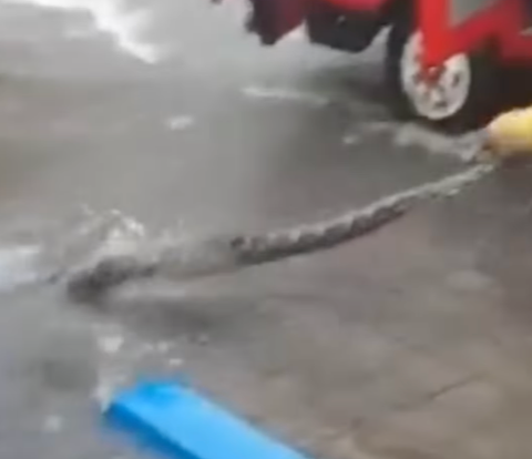 Viral Video Firefighters Evacuating Snakes During Flood, Netizens Distracted by Mother's Voice