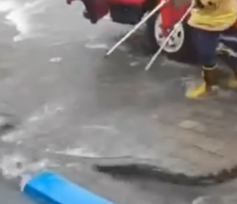 Viral Video Firefighters Evacuating Snakes During Flood, Netizens Distracted by Mother's Voice